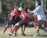 thumb_0022.jpg